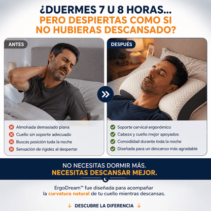 2 Almohadas Ergodream Cozatti