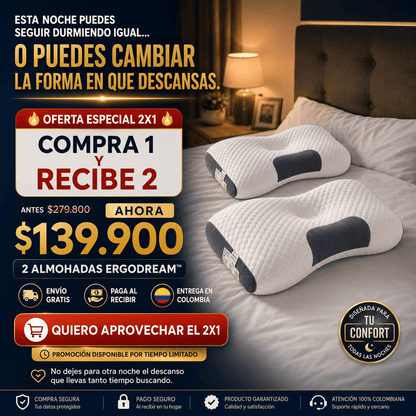 2 Almohadas Ergodream Cozatti